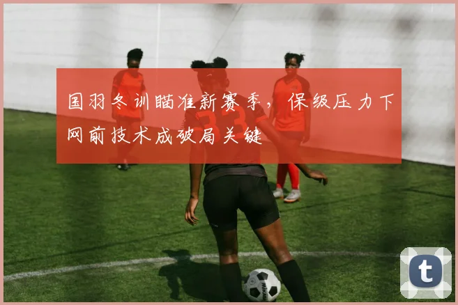 国羽冬训瞄准新赛季，保级压力下网前技术成破局关键