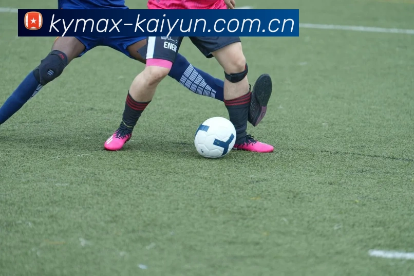 Kaiyun APP 界面演示